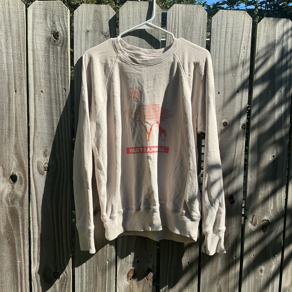 Aerie Beige Graphic Sweatshirt